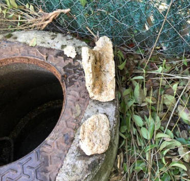 Vidange, curage de fosse septique sur Castres, Puylaurens, Revel, Tarn : Hygiène Castraise.